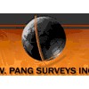 W Pang Surveys