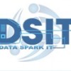 Data Spark I T